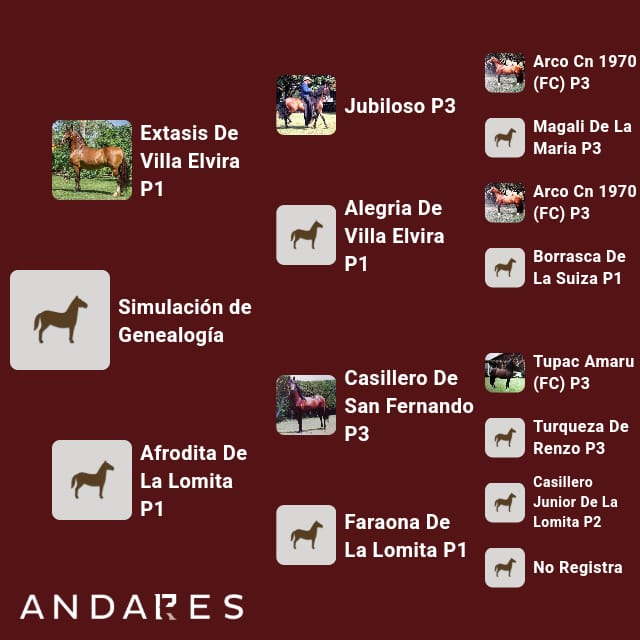 Esperanza de JA